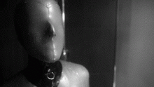  latexinspure.gif thumbnail